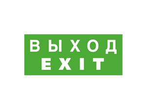 ЭЗ "Выход EXIT" (125х250)